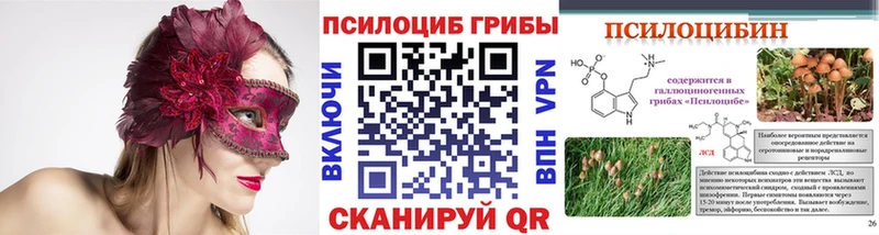 хочу наркоту  Невель  Галлюциногенные грибы Psilocybe 